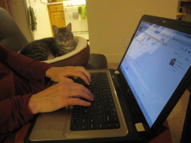 december 2015 gracie photos 003